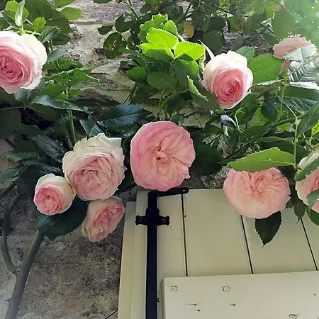 B&B Maison Coralie Sainte-Christine (Puy-de-Dome)